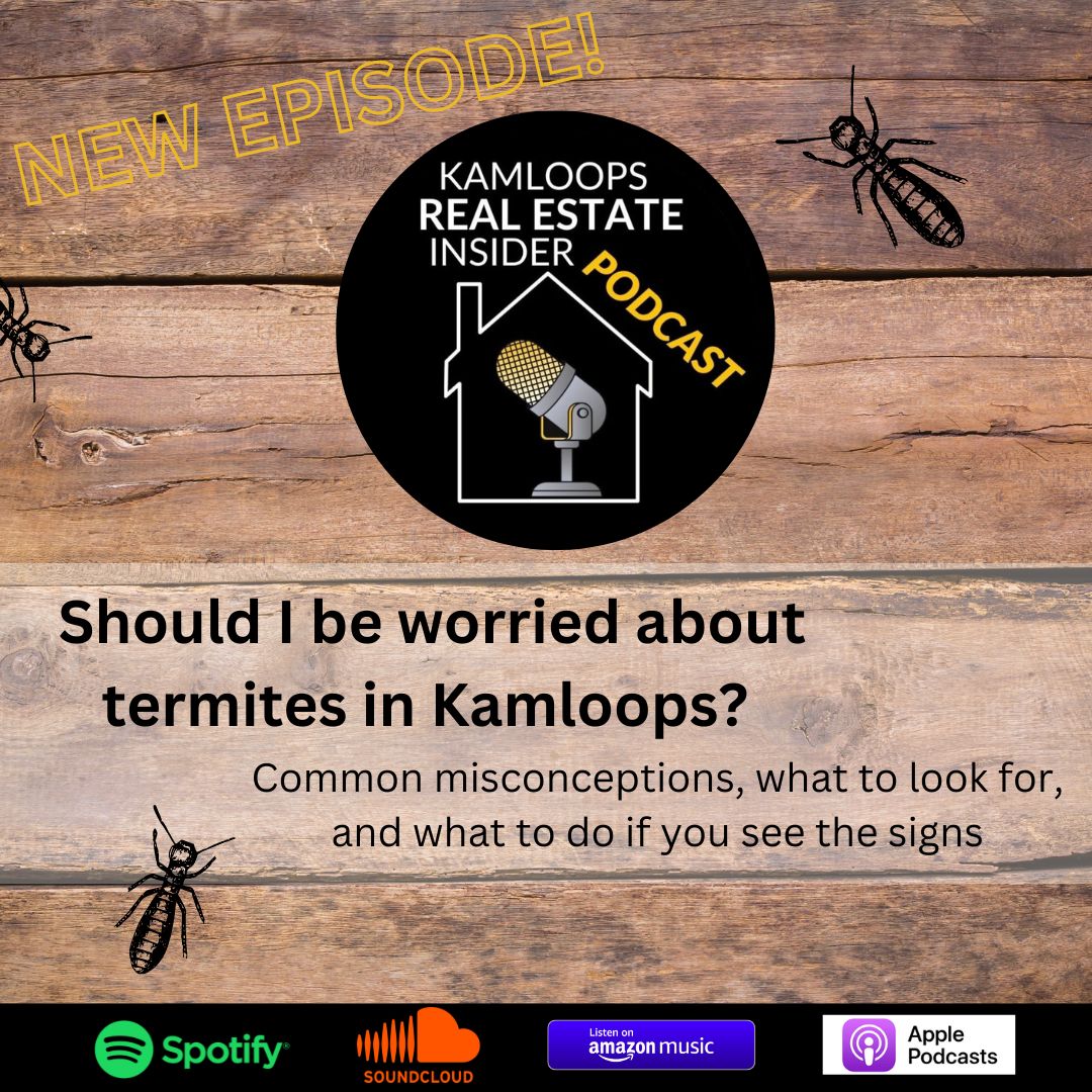 termites in Kamloops